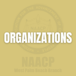 Organizations